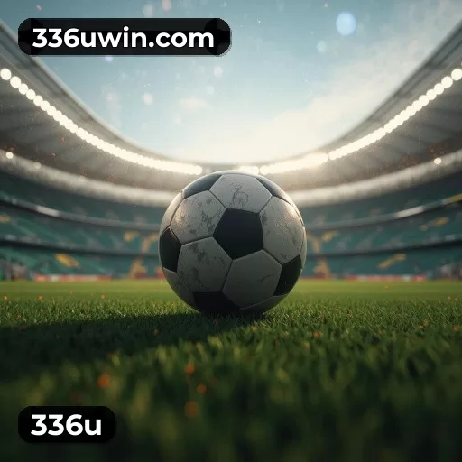 App 336u com catálogo premium, PIX e suporte 24/7
